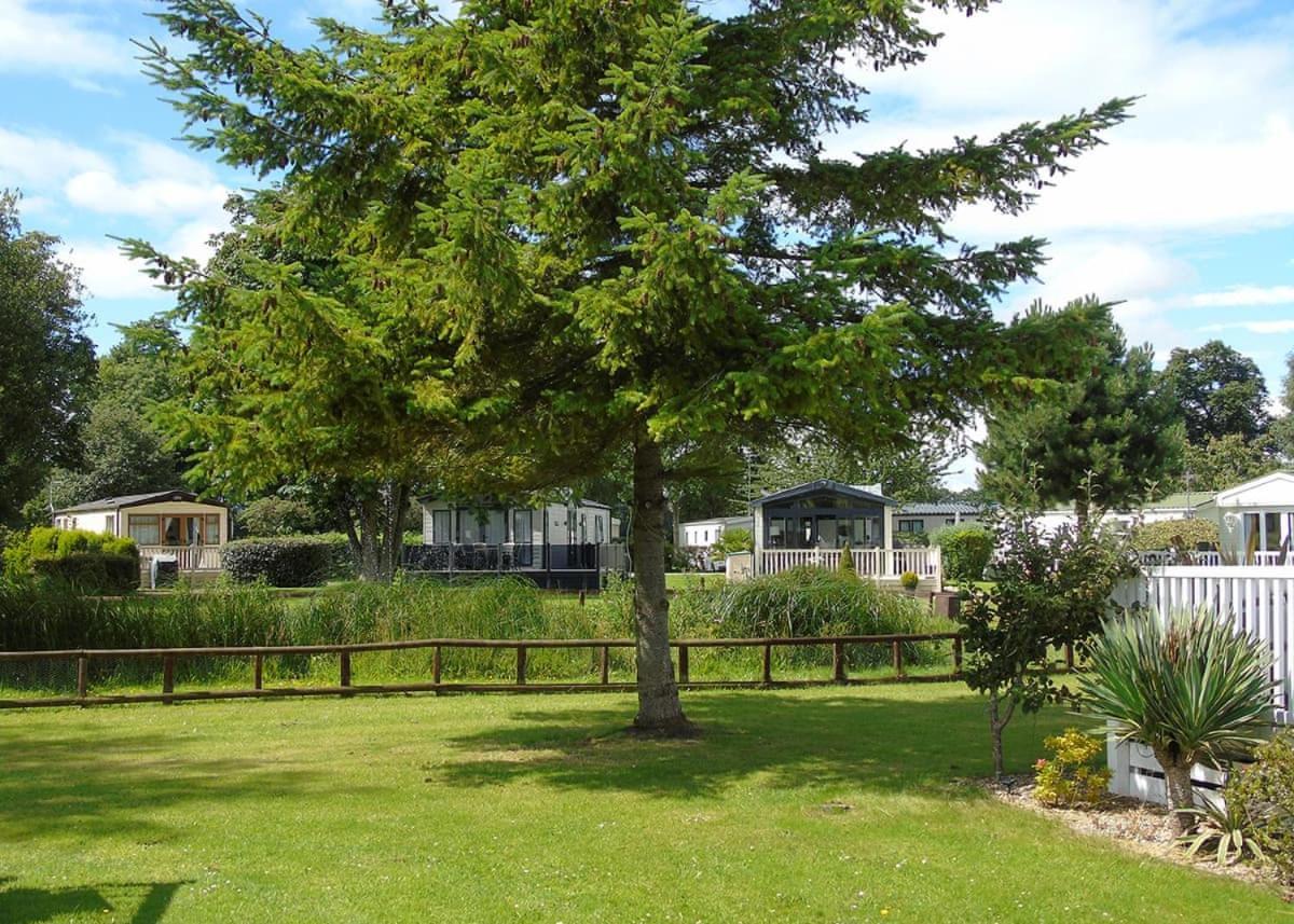 Hotel Fir Trees Chester Esterno foto